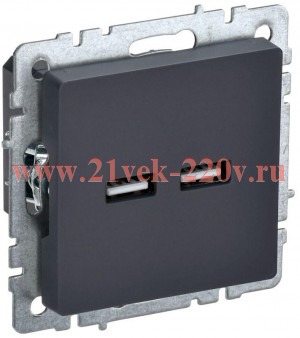 Зарядка ИЭК BRITE USB A+A 3,1А графит (РЮ10-1-БрГ) BR-U21-D31-K53