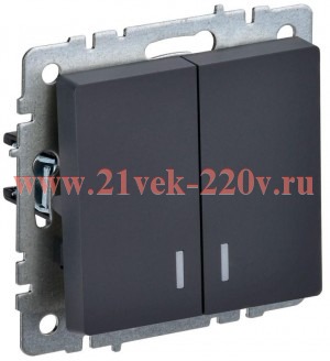Выключатель 2-клавишный ИЭК BRITE с индикацией 10А графит (ВС10-2-1-БрГ) BR-V20-1-10-K53