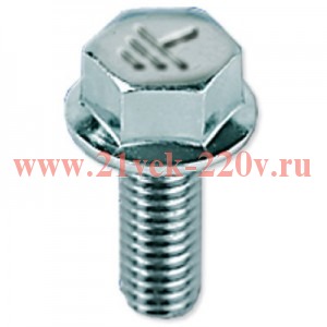 Винт для электрического соединения М5х8 оцинкованный DKC CM030508