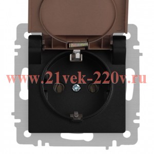 Розетка Intro Accent 6-203-05 2P+E Schuko с крышкой, 16А-250В, IP20, СУ, антрацит