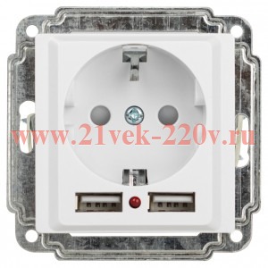 Розетка Intro Accent 6-410-01 P+E Schuko со шторками, 16А-250В + 2хUSB, IP20, СУ, белый