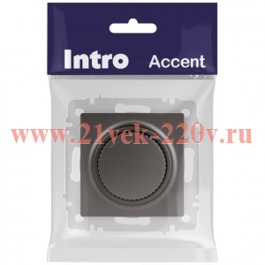 Светорегулятор Intro Accent 6-401-07 поворотный, 600Вт 230В, IP20, СУ, графит