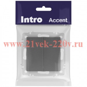 Выключатель Intro Accent 6-104-07 двойной, 10А-250В, IP20, СУ, AL/CU, графит