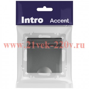 Розетка Intro Accent 6-203-07 2P+E Schuko с крышкой, 16А-250В, IP20, СУ, AL/CU, графит