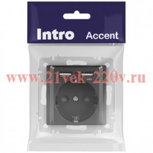 Розетка Intro Accent 6-410-07 P+E Schuko со шторками, 16А-250В + 2хUSB, IP20, СУ, графит
