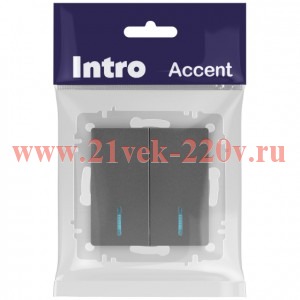 Выключатель Intro Accent 6-105-07 двойной с подсветкой, 10А-250В, IP20, СУ, AL/CU, графит