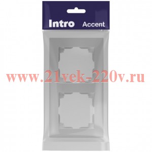 Рамка для розеток и выключателей Intro Accent 6-502-03 на 2 поста, СУ, алюминий