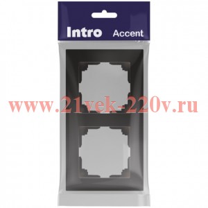 Рамка для розеток и выключателей Intro Accent 6-502-05 на 2 поста, СУ, антрацит