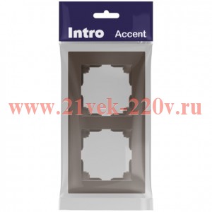 Рамка для розеток и выключателей Intro Accent 6-502-08 на 2 поста, СУ, бронза