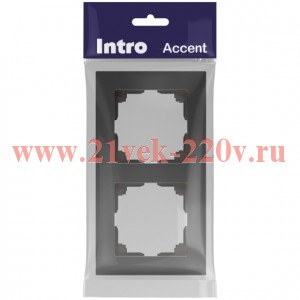Рамка для розеток и выключателей Intro Accent 6-502-07 на 2 поста, СУ, графит