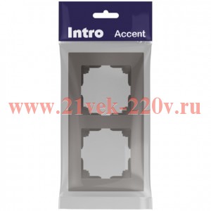Рамка для розеток и выключателей Intro Accent 6-502-09 на 2 поста, СУ, титан