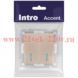 Выключатель Intro Accent 6-105-04 двойной с подсветкой, 10А-250В, IP20, СУ, AL/CU, шампань
