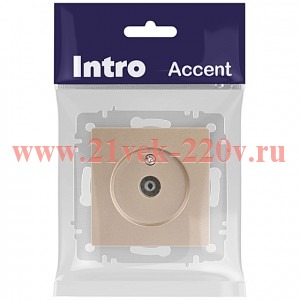 Розетка Intro Accent 6-301-04 TV одиночная, IP20, СУ, шампань