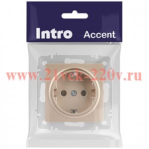 Розетка Intro Accent 6-202-04 2P+E Schuko 16А-250В IP20 СУ AL/CU шампань