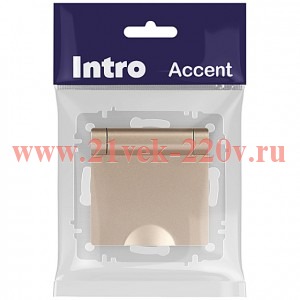 Розетка Intro Accent 6-203-04 2P+E Schuko с крышкой 16А-250В IP20 СУ AL/CU шампань