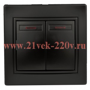Выключатель Intro Plano 1-105-05 двухклавишный с подсветкой, 10А-250В, IP20, СУ, антрацит