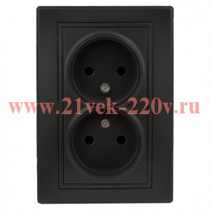 Розетка Intro Plano 1-204-05 без заземления двойная 2х2P, 16А-250В, IP20, СУ, антрацит