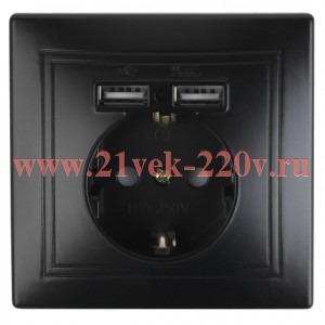 Розетка Intro Plano 1-410-05 с заземлением 2P+E Schuko со шторками, 16А-250В + 2хUSB 5В-2,1А, IP20,