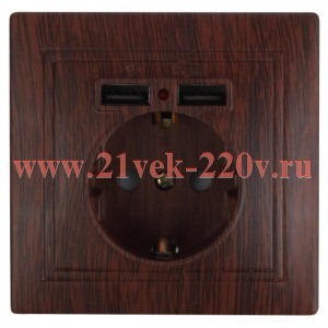 Розетка Intro Plano 1-410-10 с заземлением 2P+E Schuko со шторками, 16А-250В + 2хUSB 5В-2,1А, IP20,
