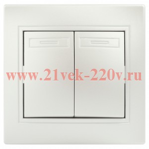 Выключатель Intro Plano 1-104-06 двухклавишный, 10А-250В, IP20, СУ, перламутр