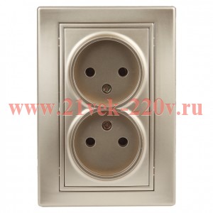 Розетка Intro Plano 1-204-04 без заземления двойная 2х2P, 16А-250В, IP20, СУ, Plano, шампань
