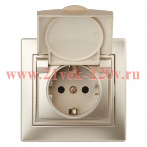 Розетка Intro Plano 1-203-04 с заземлением 2P+E Schuko с крышкой 16А-250В IP20 СУ шампань