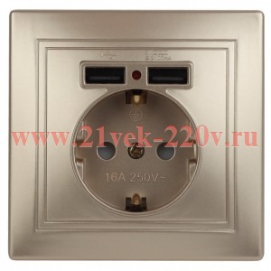 Розетка Intro Plano 1-410-04 с заземлением 2P+E Schuko со шторками, 16А-250В + 2хUSB 5В-2,1А, IP20,