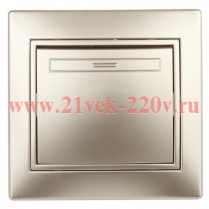 Выключатель Intro Plano 1-101-04 одноклавишный, 10А-250В, IP20, СУ, шампань