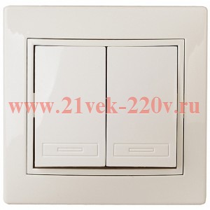 Переключатель Intro Plano 1-107-02 двухклавишный, 10А-250В, IP20, СУ, слоновая кость