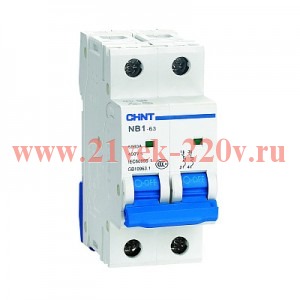 Автоматический выключатель NB1-63 2P 10A 6кА х-ка C (R) CHINT
