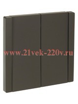 Выключатель двухклавишный с индикацией ИЭК FORTE&PIANO FP306 10А серый FP-V20-1-10-1-K03