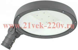 Светильник светодиодный ДКУ Парк 2001-100Д 5000К IP65 IEK LDKU0-2001-100-5000-K02