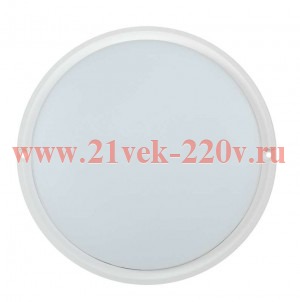 Светильник LED ДПО 4002 12Вт IP54 4000K круг белый IEK