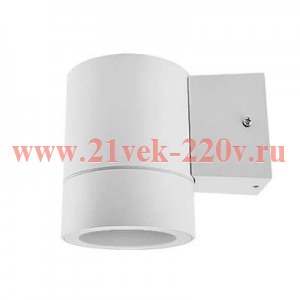 Светильник светодиодный GX53S-1W-ЦИЛИНДР GX53 IP65 230В уличный односторон. подсветка бел. IN HOME 4