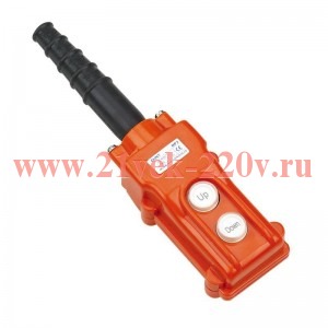 Пульт кнопочный NP3-1 на 2 кнопки IP65 (R) CHINT 586051