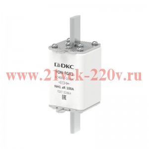 Предохранитель YON ножевого типа FG1 100А 400В хар-ка aR DKC 1FG01-0100-400V-AR