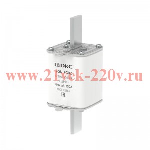 Предохранитель YON ножевого типа FG2 250А 690В хар-ка aR DKC 1FG02-0250-690V-AR