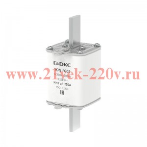 Предохранитель YON ножевого типа FG2 250А 400В хар-ка aR DKC 1FG02-0250-400V-AR