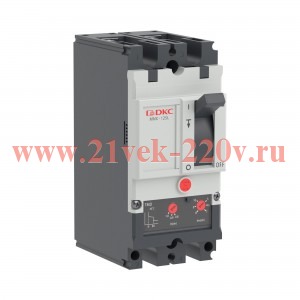 Выключатель автоматический YON pro MNX125L 2P 125А 70кА при AC240V расц. TMD DKC MNX125L2PTMD0125