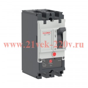 Выключатель автоматический YON pro MNX125M 2P 25А 100кА при AC240V расц. TMD DKC MNX125M2PTMD0025