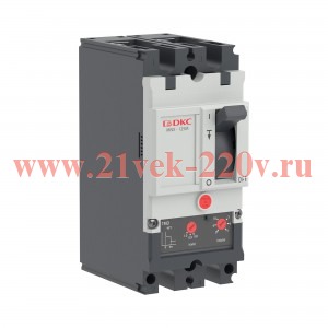 Выключатель автоматический YON pro MNX125M 2P 100А 100кА при AC240V расц. TMD DKC MNX125M2PTMD0100