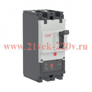 Выключатель автоматический YON pro MNX250L 2P 250А 70кА при AC415V расц. TMD DKC MNX250L2PTMD0250