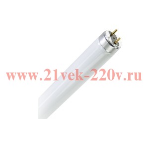 Лампа ультрафиолетовая LT8 40W BL L=1200мм BL UV-A 355-385nm (в ловушки для насекомых) FOTON