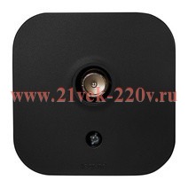 Розетка телевизионная Legrand Quteo чёрный матовый