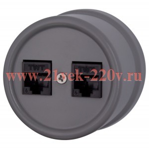 Розетка компьютерная 2-м ОП Лизетта RJ45 10А IP20 ретро кат.5E ABS-пластик титан Bironi B1-302-26
