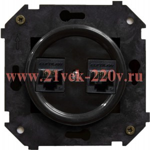 Розетка компьютерная 2-м СП Шедель RJ45 ретро кат.5E ABS-пластик черн. Bironi B3-302-23