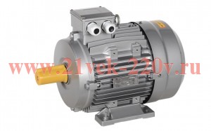 Электродвигатель 3ф АИС DRIVE 132SB2 660В 7.5кВт 3000об/мин 1081 IEK AIS132-B2-007-5-3010-2