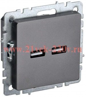 Розетка BRITE USB A+A 3.1А РЮ10-1-БрС сталь IEK BR-U21-D31-K46