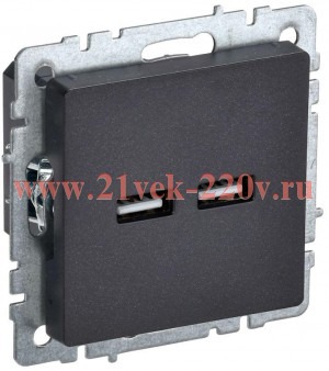 Зарядка ИЭК BRITE USB A+A 3,1А черный (РЮ10-1-БрЧ) BR-U21-D31-K02