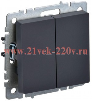 Выключатель 2-клавишный ИЭК BRITE 10А графит (ВС10-2-0-БрГ) BR-V20-0-10-K53